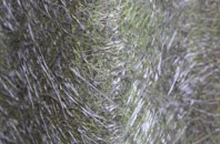 Hulham fibreglass roof work